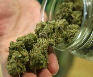 Medical marijuana reaches societal “tipping point” with WC consequences