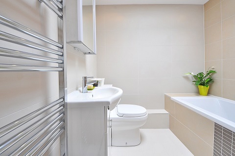 Flushed away: the items lost in the loo