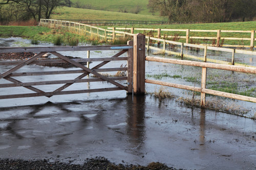 John Noone of H&H Insurance Brokers on hand to help flood-hit farmers