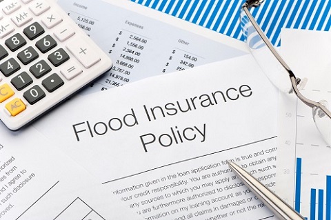 Louisiana Insurance Commissioner limits insurer's ability to cancel cover as state leads the nation - Insurance Business America