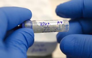 Congress fails to pass Zika response fund
