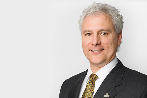 How do private capital players fulfill the financing needs of businesses?