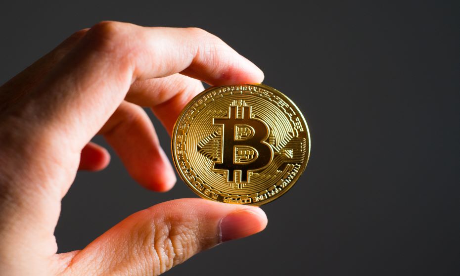 bitcoin nz bitcoin trader kerry stokes