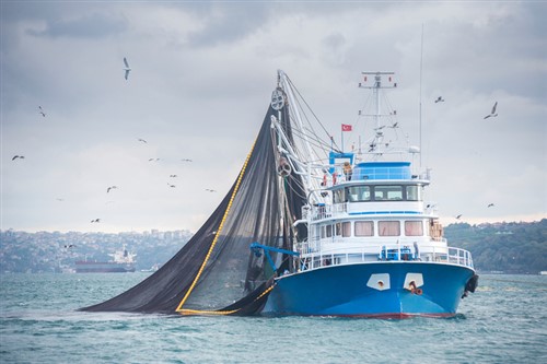 fishing boats and marine