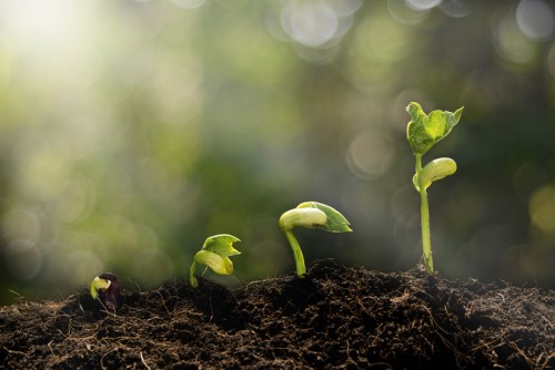 Five governing principles for growing your book of business | Insurance ...