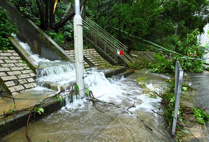 Up to US$1 billion in losses expected after typhoon batters Hong Kong