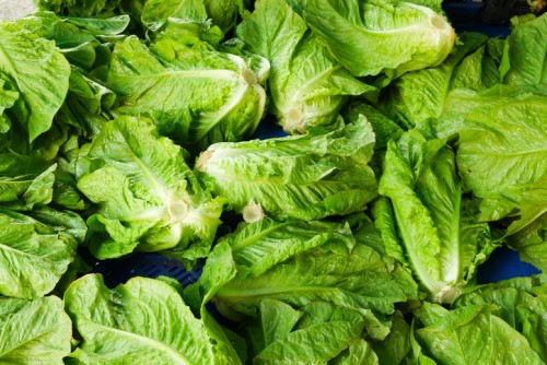Deadly romaine lettuce E. coli outbreak causes insurance headache