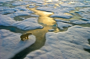Climate change: Can insurers take the heat?