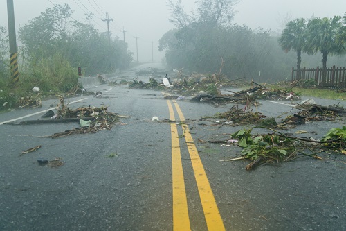 Hong Kong schools reopen after typhoon