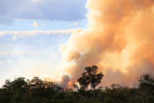 Wildfire costs may cause more homeowners in California to lose their insurance