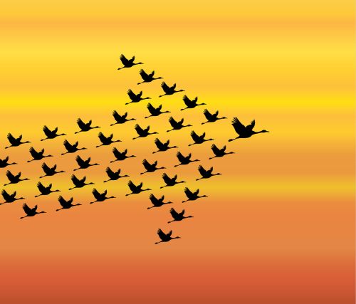 HRDs – you’re more influential than you know