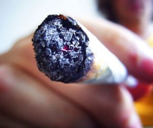 Weed legal firm goes global
