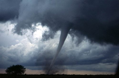 Ontario Government Provides Ottawa With 1 5 Million In Tornado Assistance Funding Insurance Business